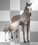 mare and foal