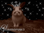 likkle splodge bunny wabbit