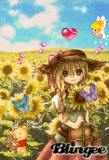 magic sunflower garden