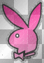 Playboy
