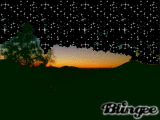 starry night
