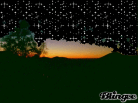 starry night