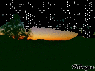 starry night