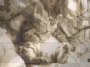 Kiity cat lauren cee