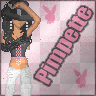 pimp