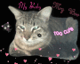 My kitty!!!