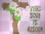 easter