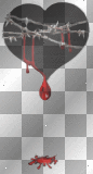 bleeding heart