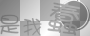 是我蠢