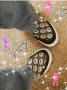 ma shoe