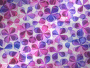 Red & Violet Flowers