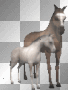 horsses