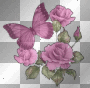 BUTTERFLY AND ROSES