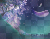 cherry blossom