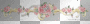 flowers divider