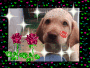 LIL CUTIE!!