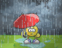 rain