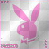 playboy bunny