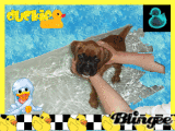 bathe time bathe time