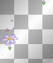 falling floating flowers