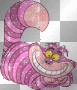 Cat Cat