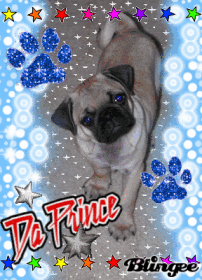 freddy