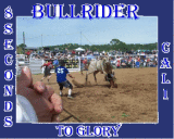bullrider