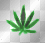 pot