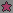 pink star