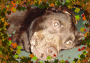 Duncan