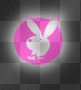 pb bunny