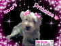 PRINCESS ME ME