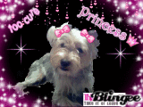PRINCESS ME ME