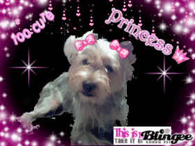 PRINCESS ME ME