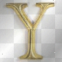 y