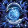 celestial dolphins celestial dolphins