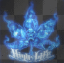 high lfe