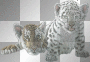 glittery tiger babies