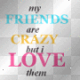 My Friends Are Crazy But I Love Them