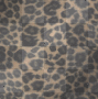 Lepard Skin