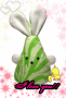 big hasi big hasi