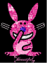 Funny_Bunny