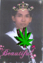 arvin