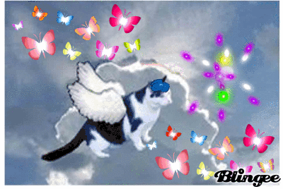 Petie's Heavenly Bling 