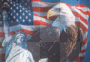 American