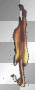 flame