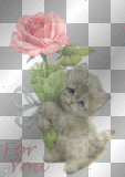 Kitty - For you