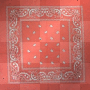 BLOODZ FLAG