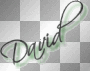 david