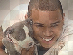 diam n chris diam n chris